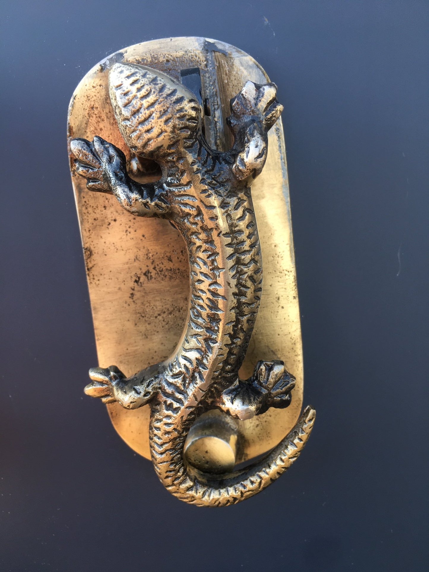 Gecko Door Knocker (Antique Brass)