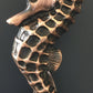 Seahorse Door Knocker Copper
