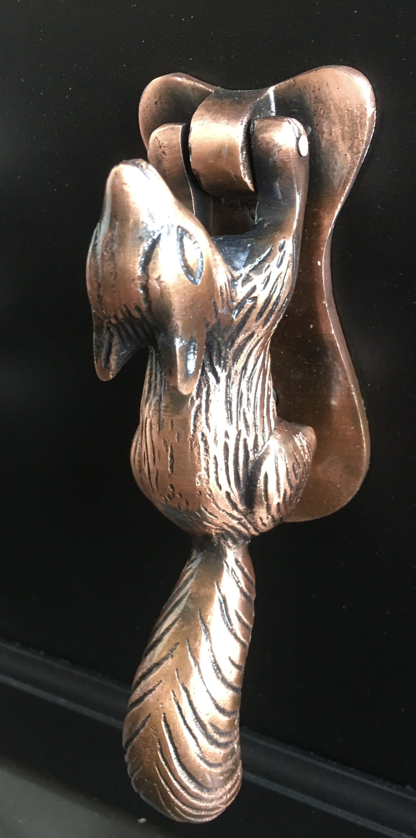 Squirrel Door Knocker Copper