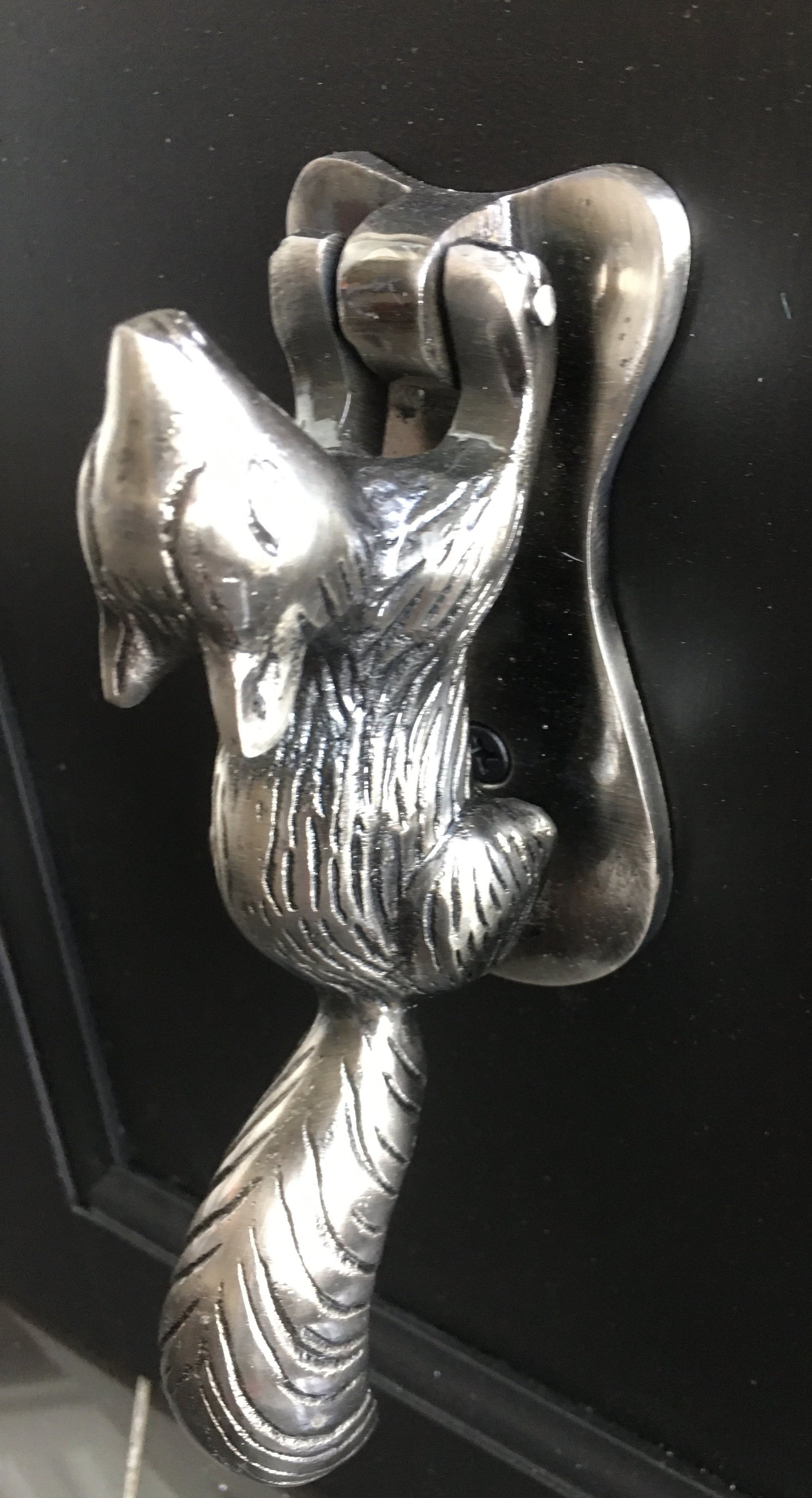 Squirrel Door Knocker Silver