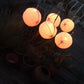 Garden Gift Paper Moon Lanterns: (White) 5 Pack