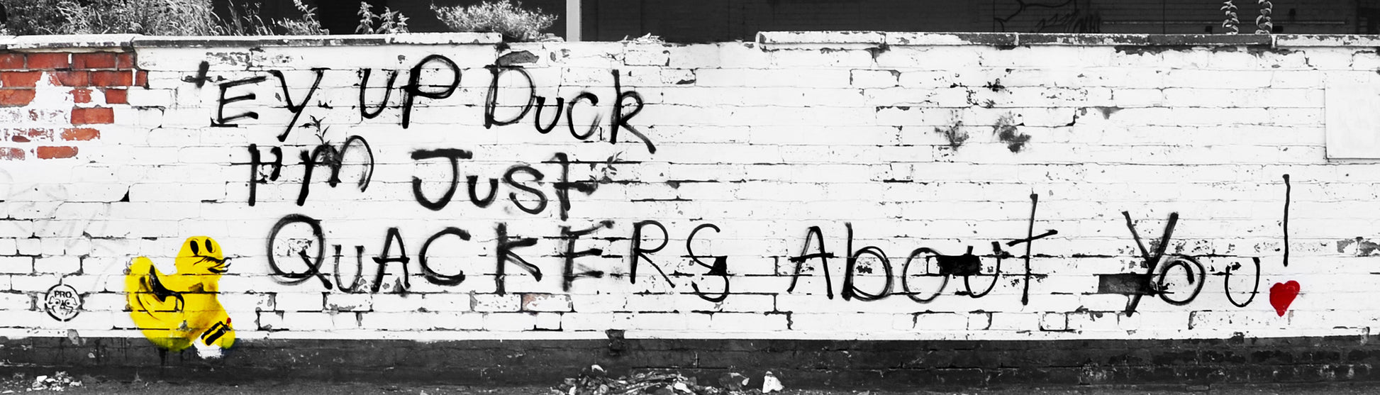 Quackers About You Enamel Mug Artwork