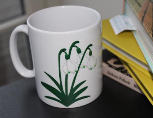 Snowdrop Lifestyle Example