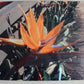 Personalised/Customized Gift Photo Place Mat: