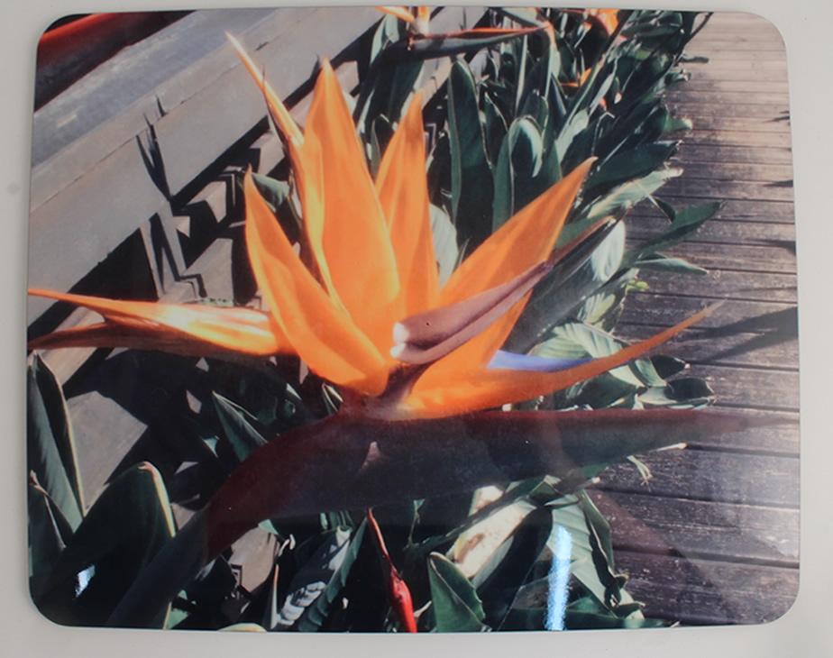 Personalised/Customized Gift Photo Place Mat: